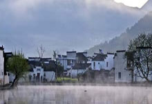 莓茶商城