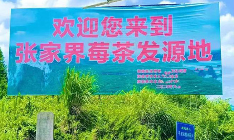 这是标题